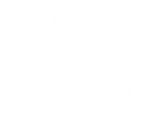 Logo Colegio de psicologos Cusco - blanco