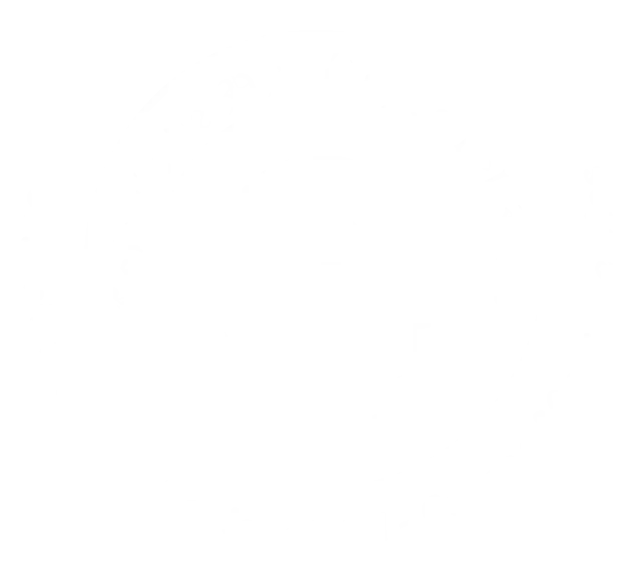 Logo Colegio de psicologos Cusco - blanco